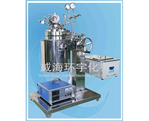 浙江2L 升降反應釜配恒溫槽