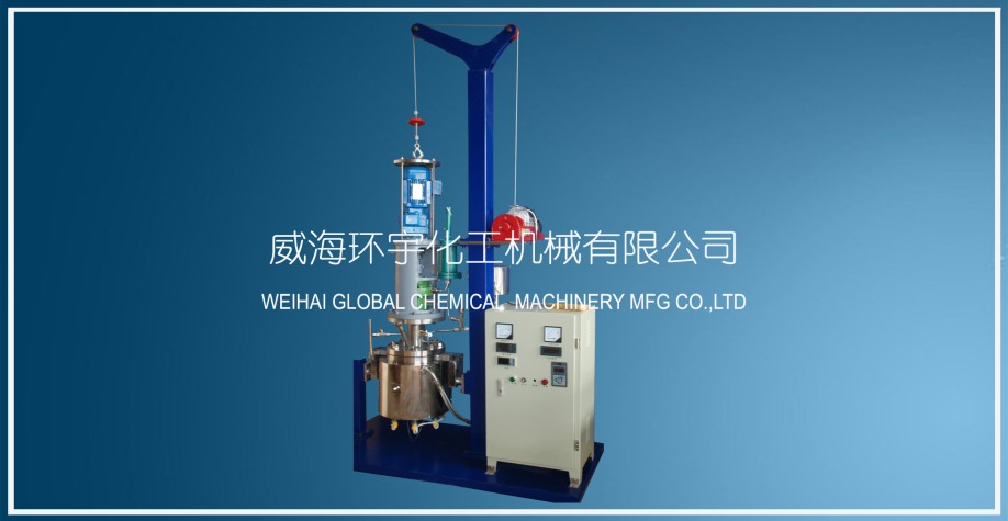 浙江5L 電動升降反應(yīng)釜
