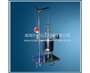 浙江30L電機(jī)直聯(lián)升降反應(yīng)釜