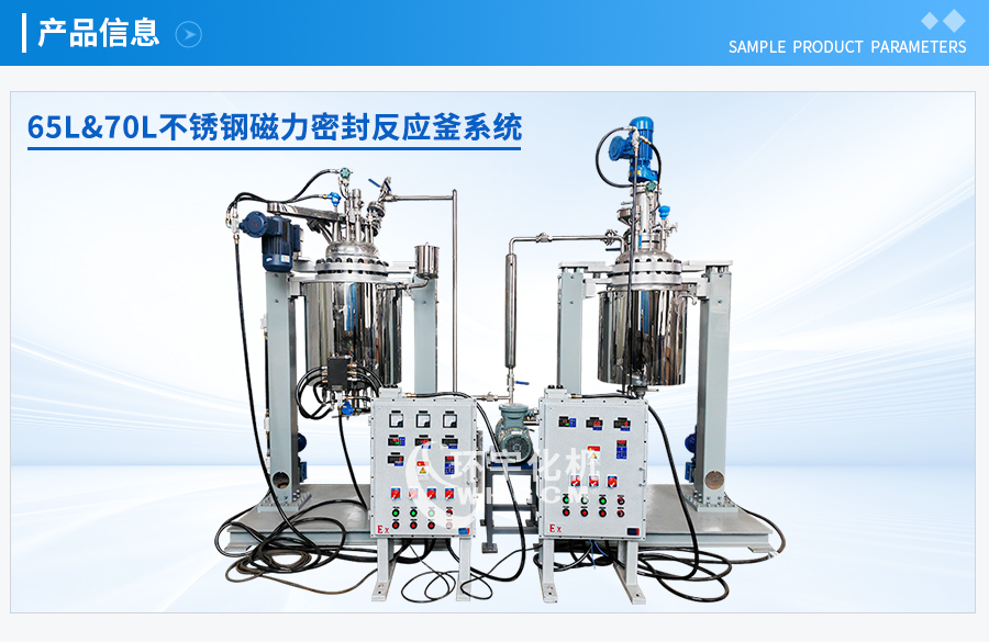 浙江65&70L不銹鋼磁力密封反應釜系統(tǒng)